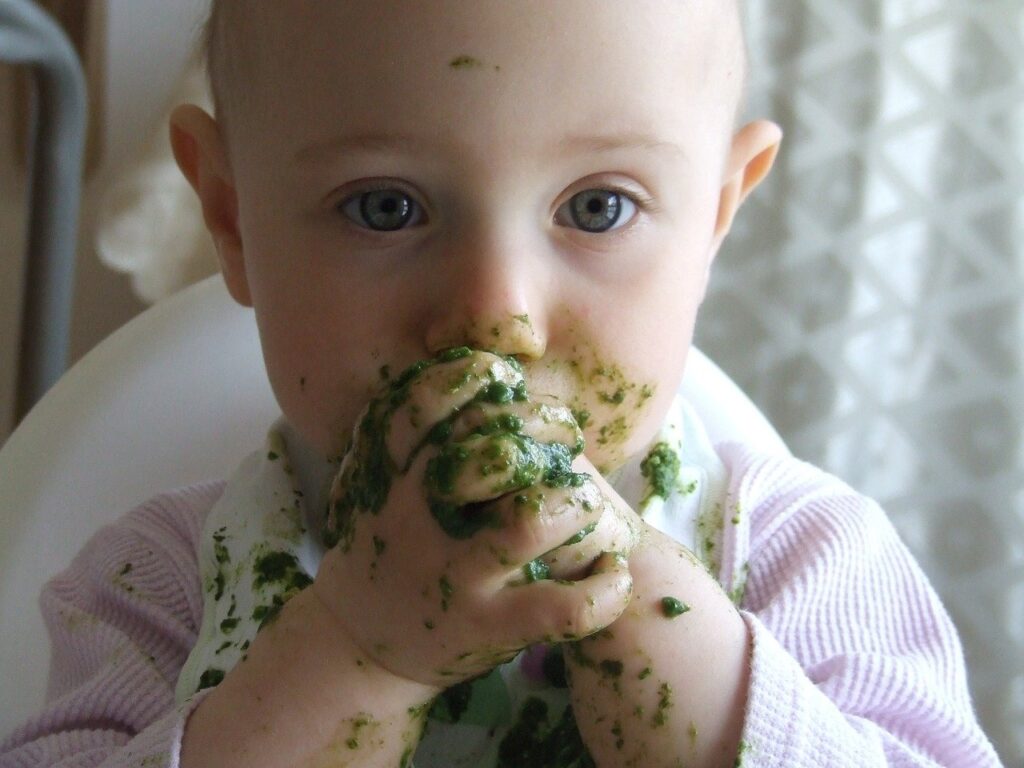 baby led weaning